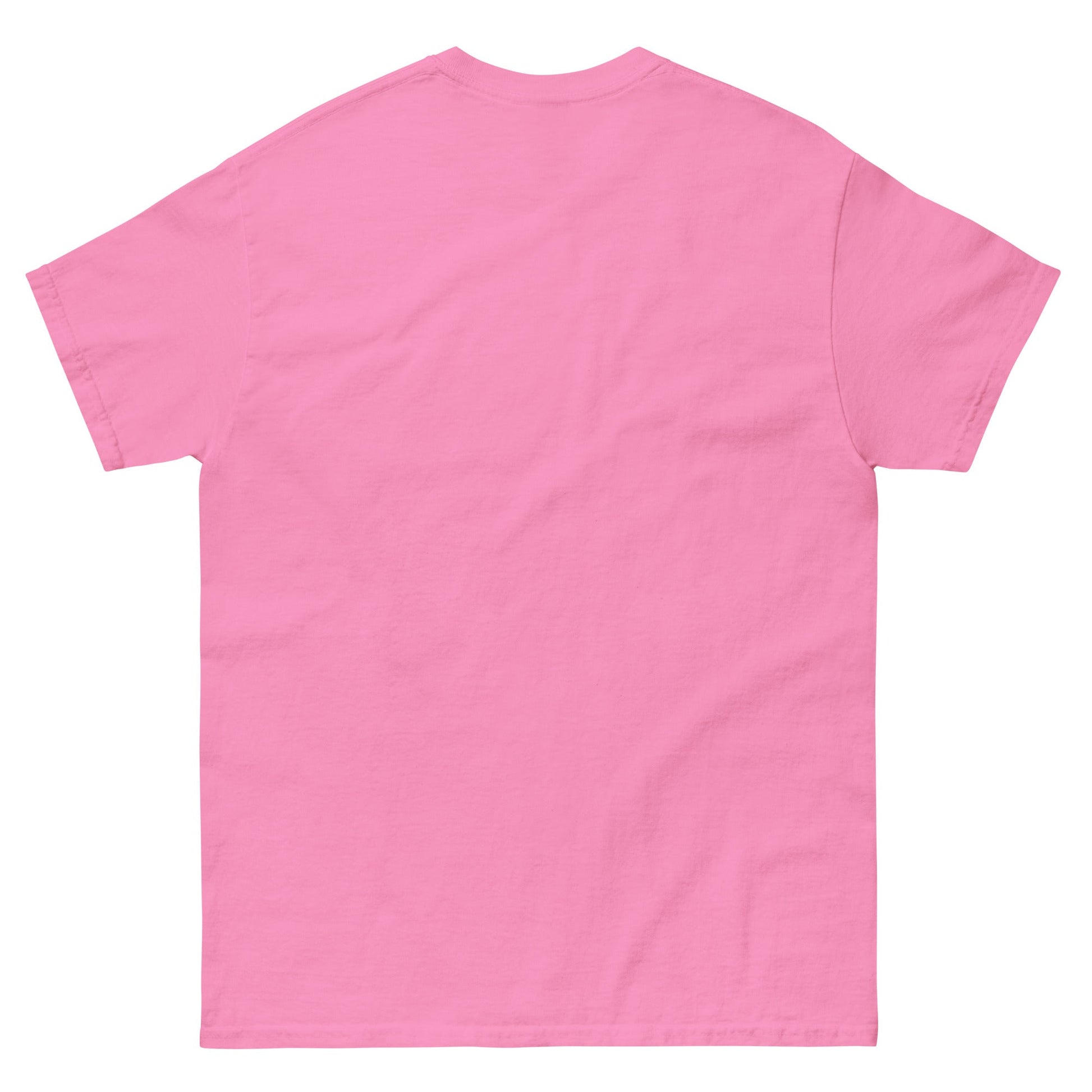Outlaw T-Shirt Unisex classic tee - Gulf of America®